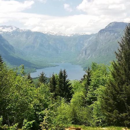 Apartment Ana Bohinj Zewnętrze zdjęcie