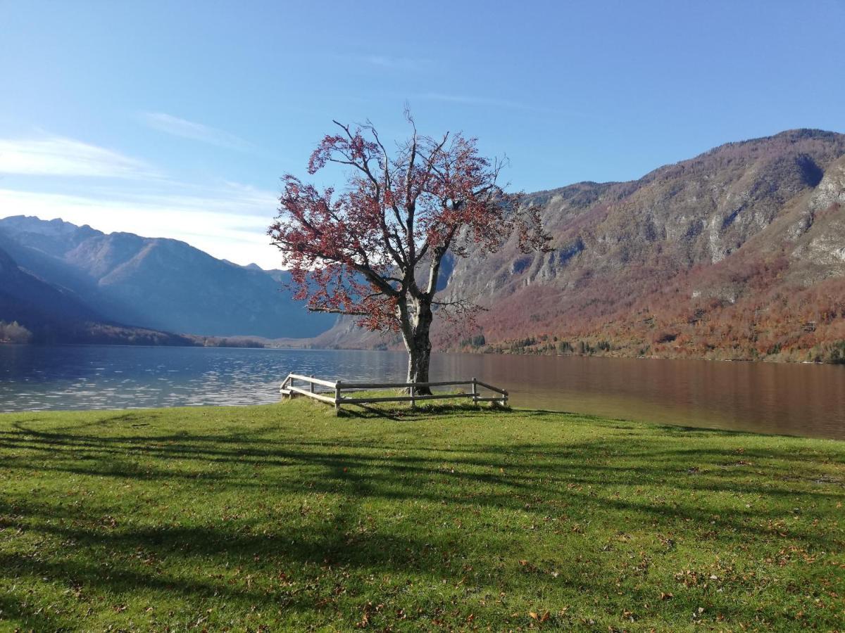 Apartment Ana Bohinj Zewnętrze zdjęcie