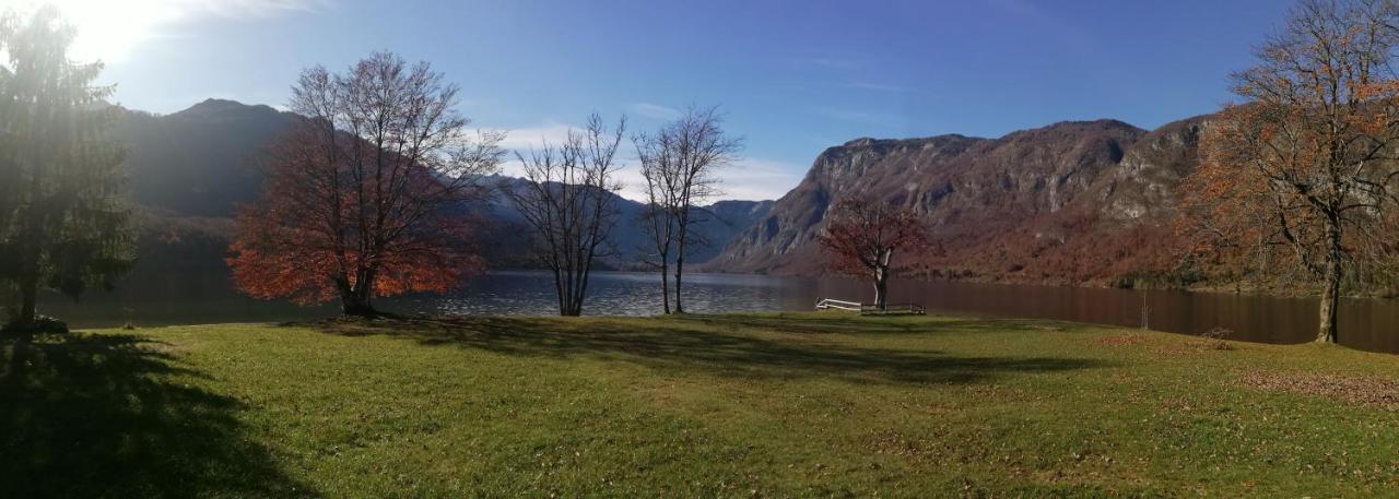 Apartment Ana Bohinj Zewnętrze zdjęcie