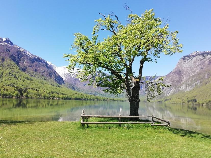 Apartment Ana Bohinj Zewnętrze zdjęcie