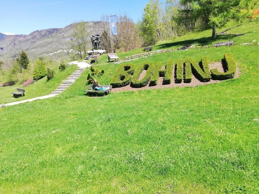 Apartment Ana Bohinj Zewnętrze zdjęcie
