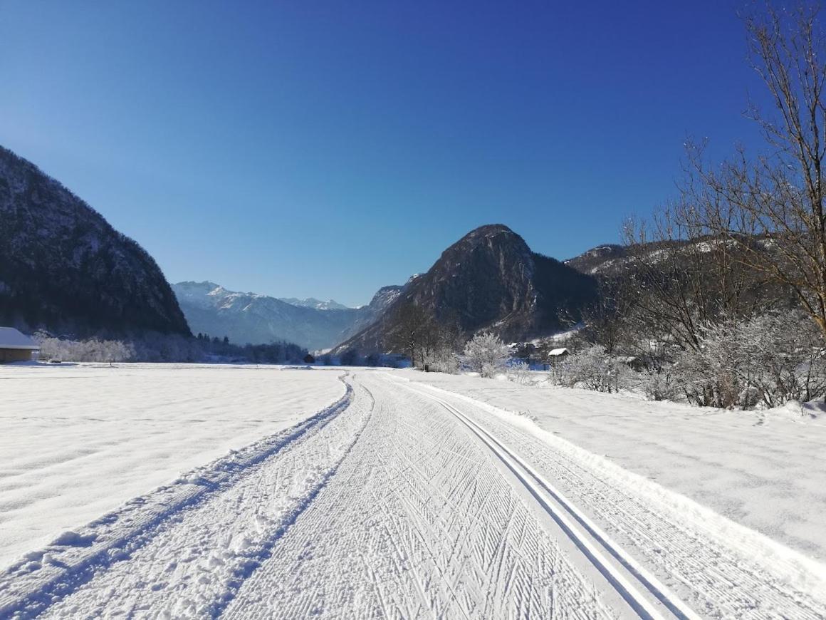 Apartment Ana Bohinj Zewnętrze zdjęcie
