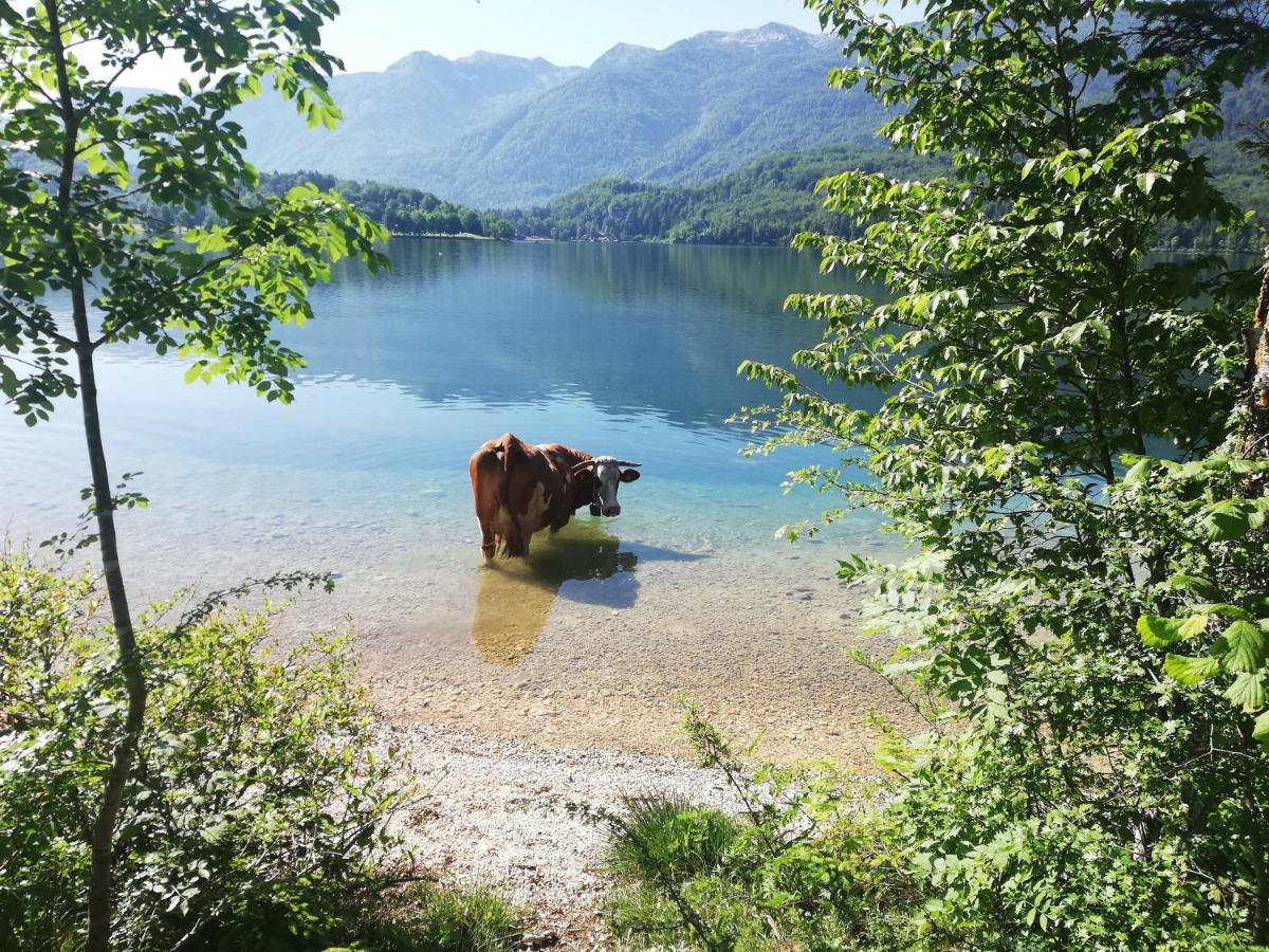 Apartment Ana Bohinj Zewnętrze zdjęcie