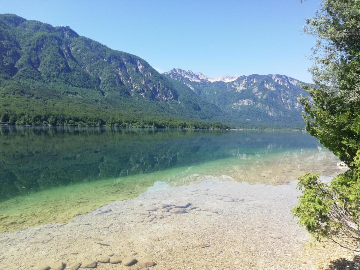 Apartment Ana Bohinj Zewnętrze zdjęcie