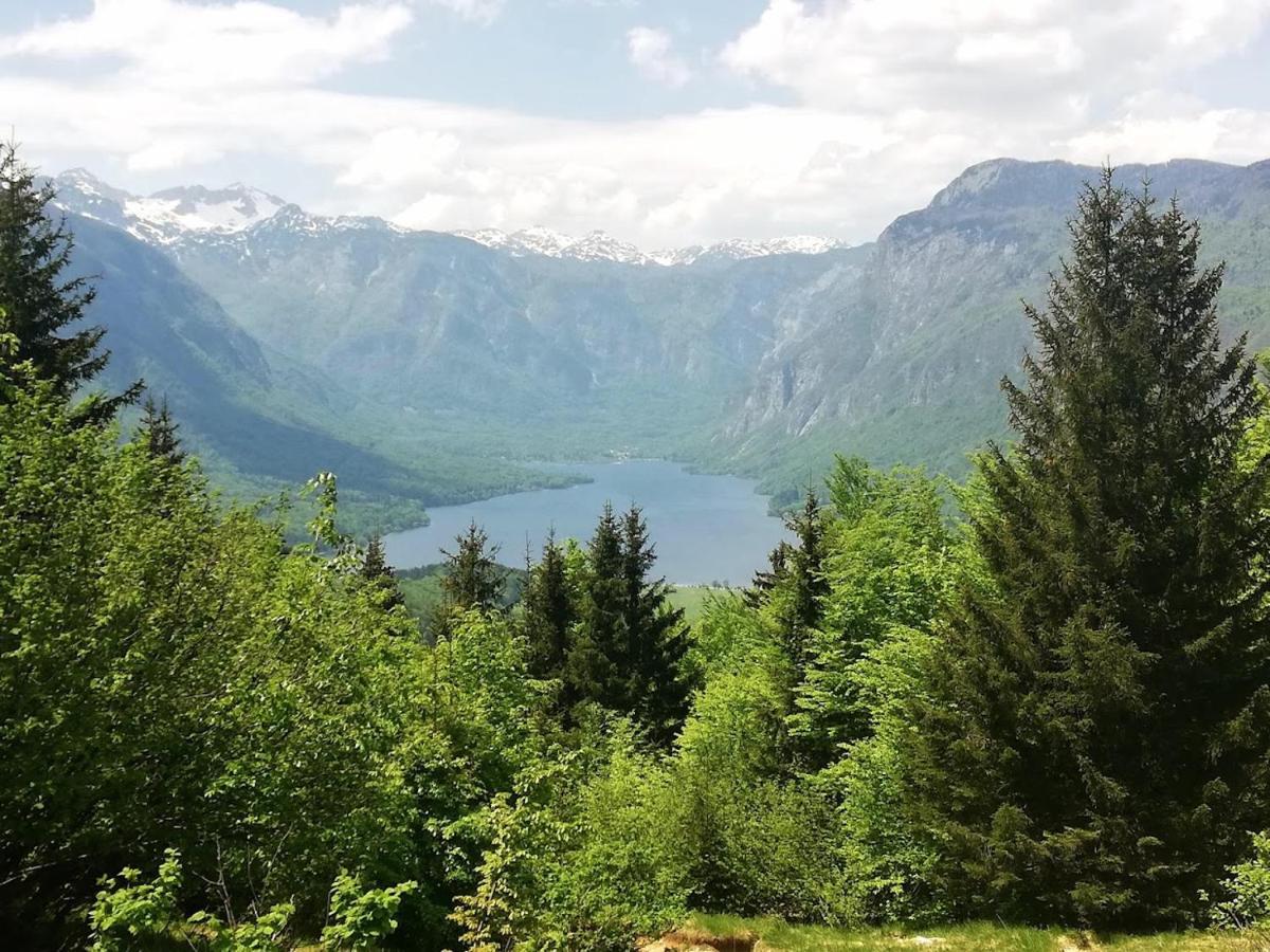 Apartment Ana Bohinj Zewnętrze zdjęcie