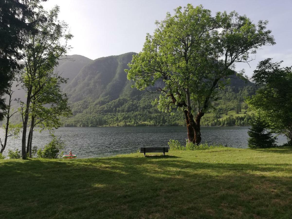 Apartment Ana Bohinj Zewnętrze zdjęcie