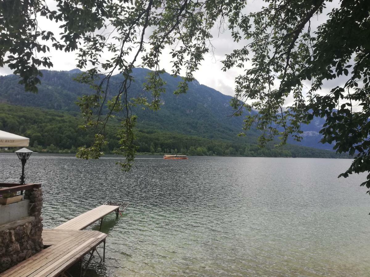 Apartment Ana Bohinj Zewnętrze zdjęcie