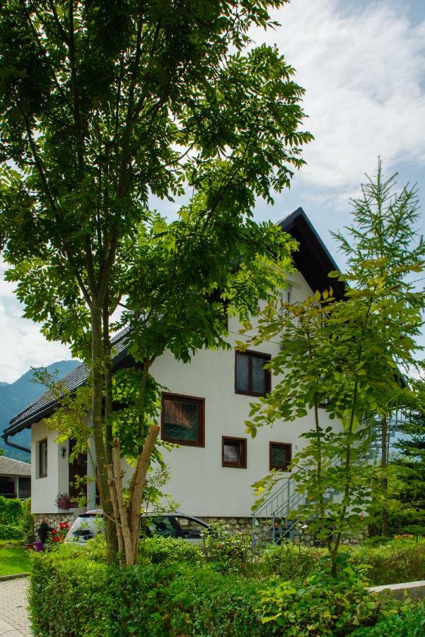 Apartment Ana Bohinj Zewnętrze zdjęcie