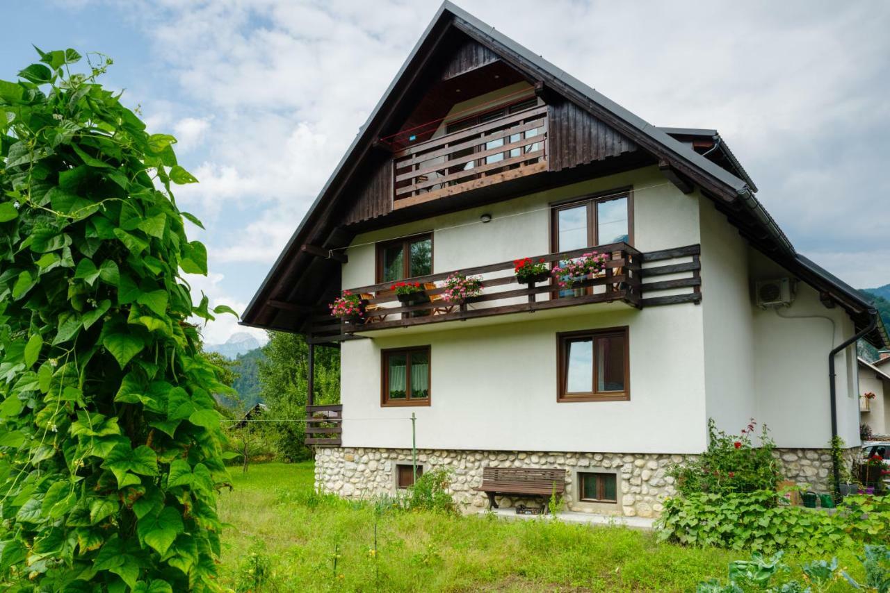 Apartment Ana Bohinj Zewnętrze zdjęcie