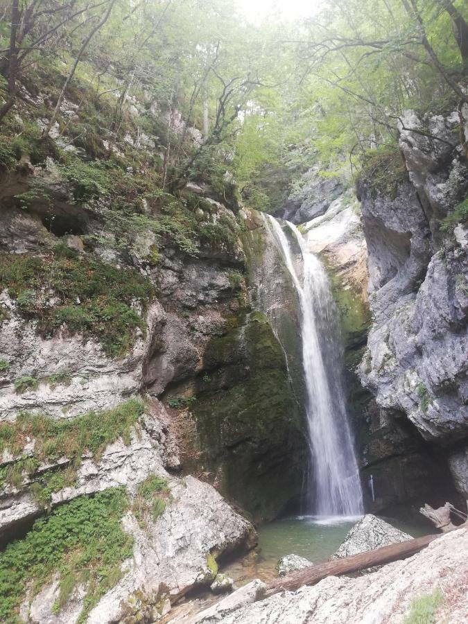 Apartment Ana Bohinj Zewnętrze zdjęcie