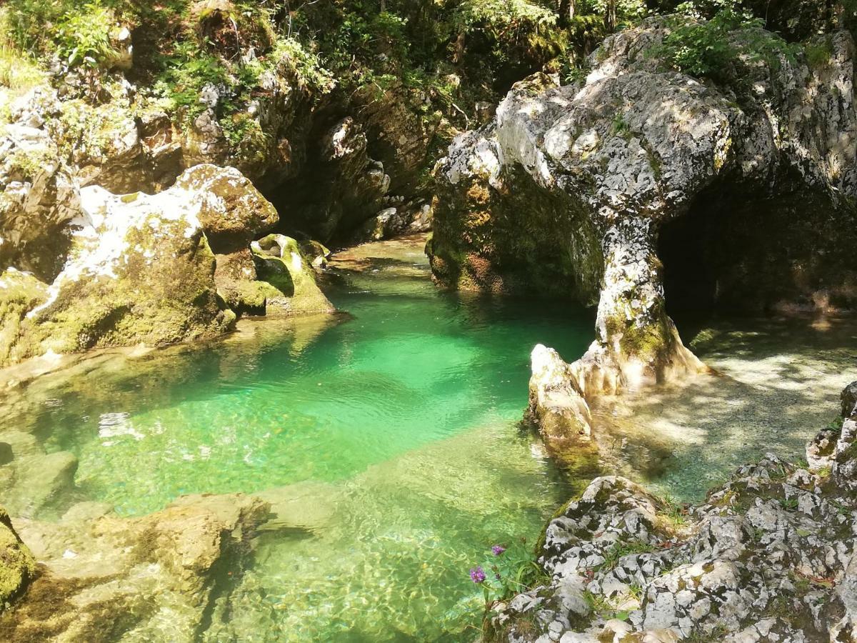 Apartment Ana Bohinj Zewnętrze zdjęcie